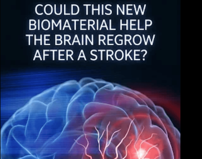 Could this New Biomaterial help the Brain Regrow after a Stroke?