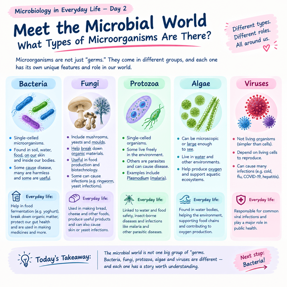 MICROBIOLOGY IN EVERYDAY LIFE — DAY 2 Meet the Microbial World: What Types of Microorganisms Are There?