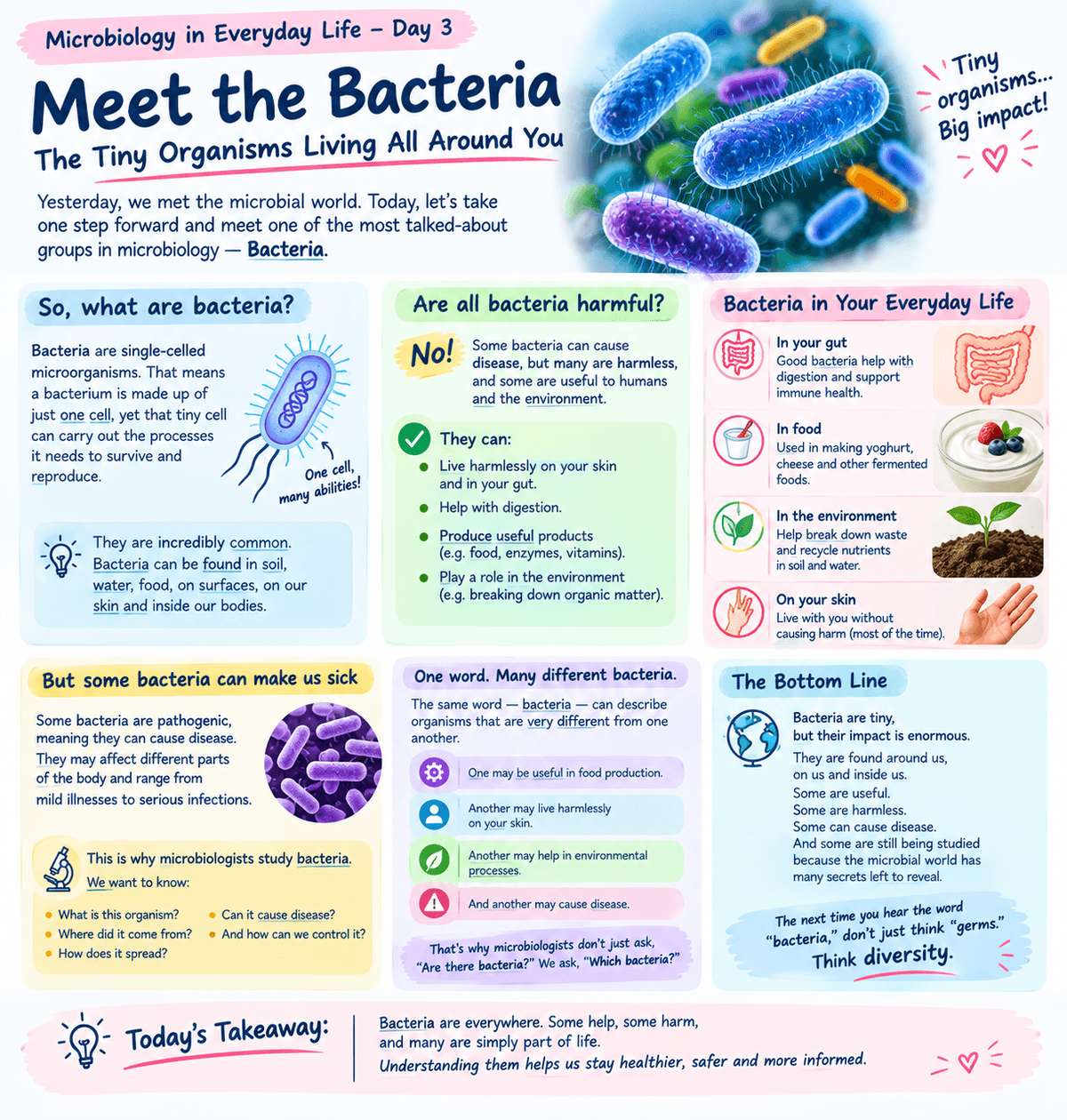 MICROBIOLOGY IN EVERYDAY LIFE — DAY 3 Meet the Bacteria: The Tiny Organisms Living All Around You