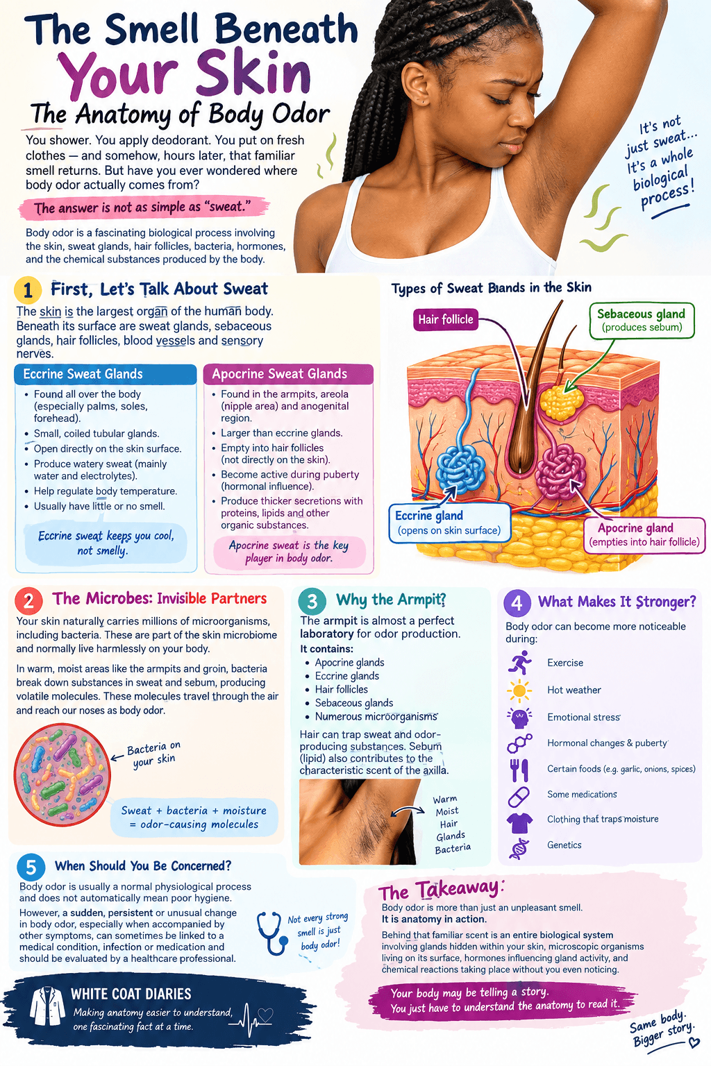 🧬 THE SMELL BENEATH YOUR SKIN