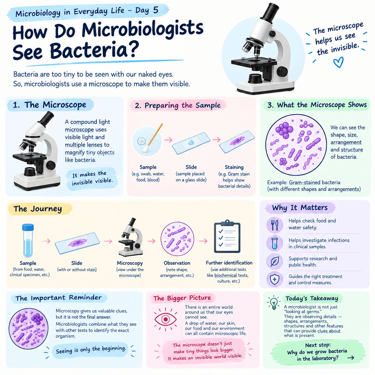 Microbiology in Everyday Life — Day 5 How Do Microbiologists See Bacteria?