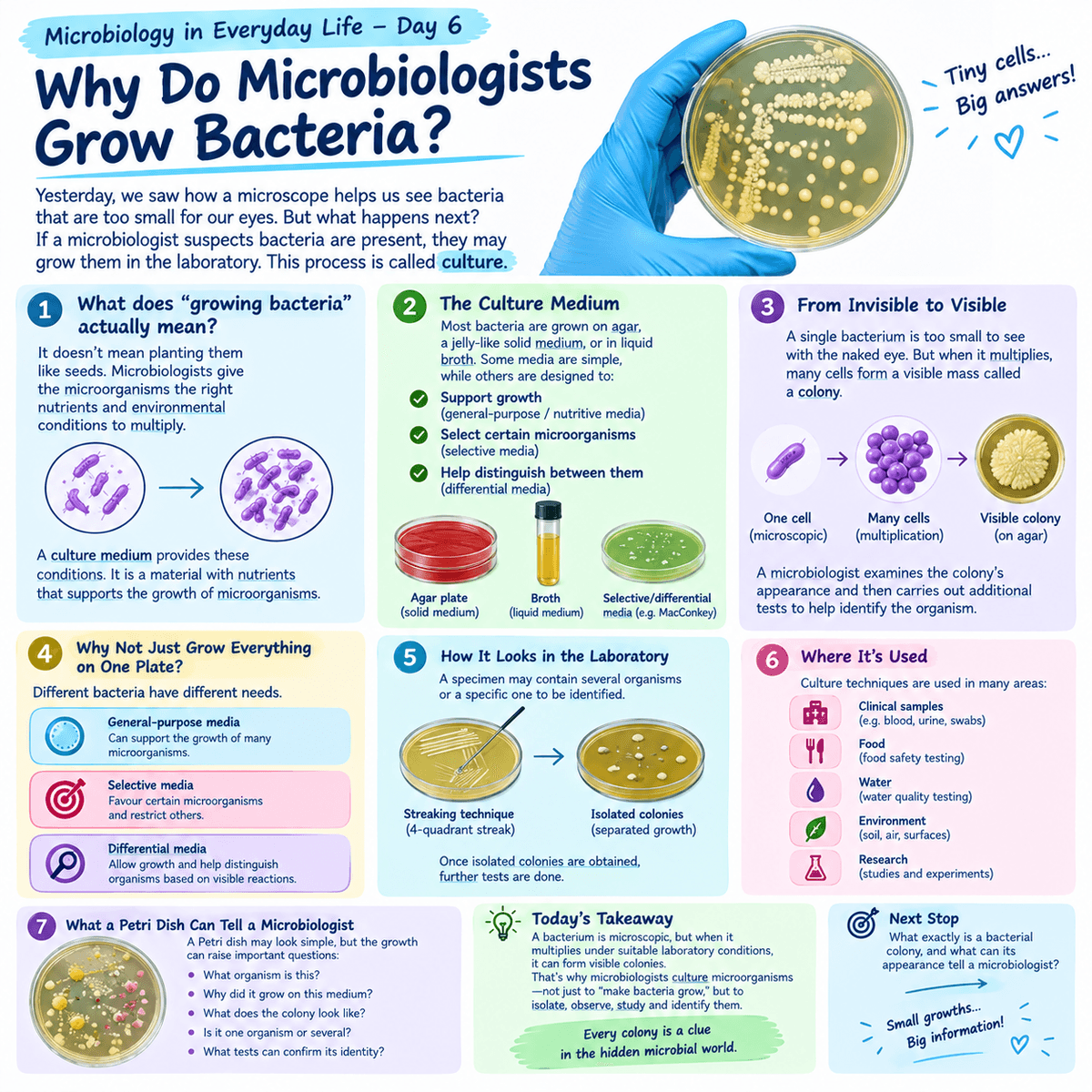 Microbiology in Everyday Life — Day 6 Why Do Microbiologists Grow Bacteria?