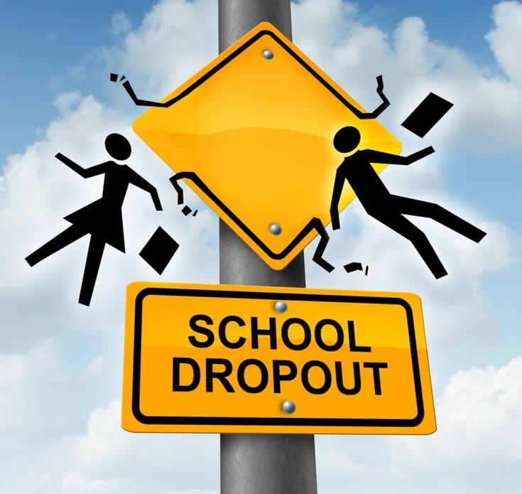 THE SCHOOL DROP - OUT